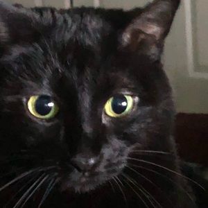 Meet your Posher, Mckenzie